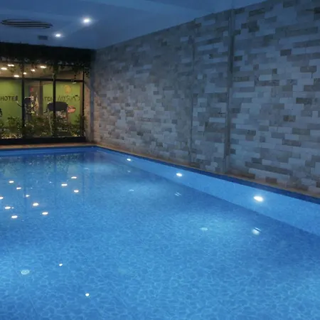 Sakarya Hotel 4*