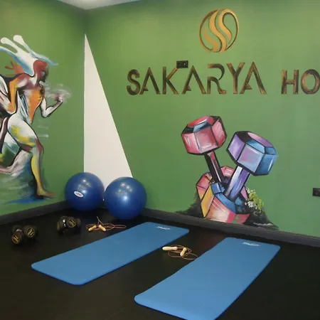 Отель Sakarya Hotel